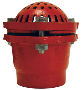 DFVS25 Cast Iron Threaded Foot Valve